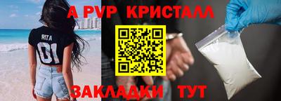 хмурый Тара