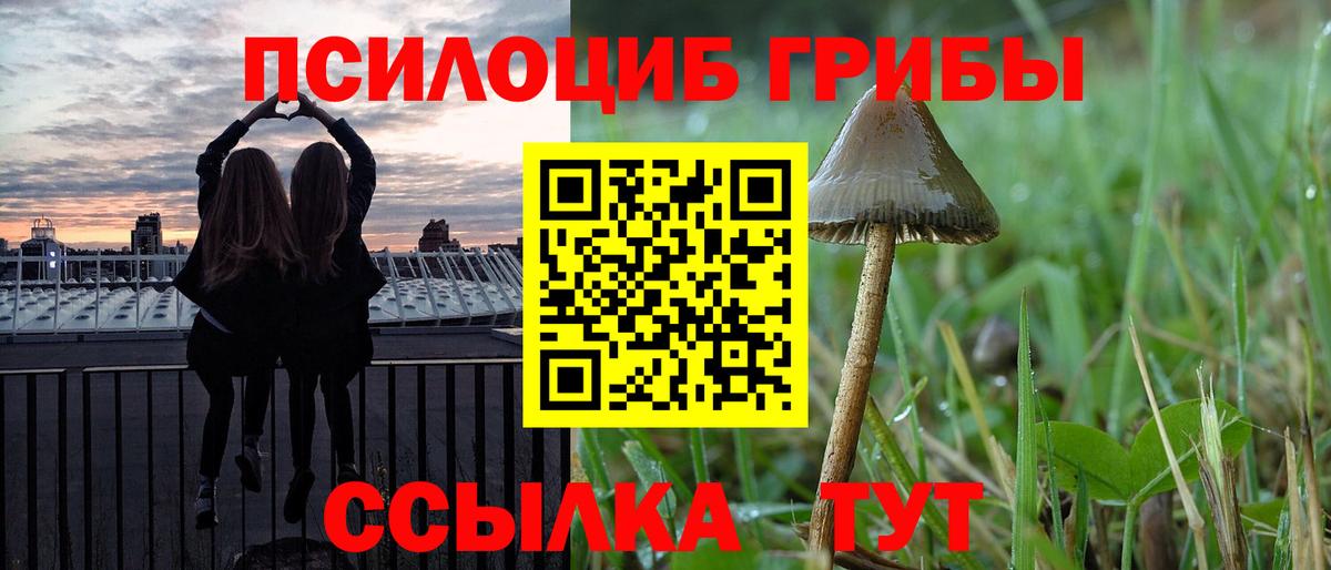 Миасс  Галлюциногенные грибы прущие грибы  Вход с VPN  продажа наркотиков  Галлюциногенные грибы мицелий 