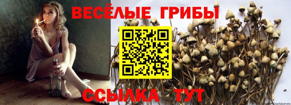 Галлюциногенные грибы MAGIC MUSHROOMS Миасс